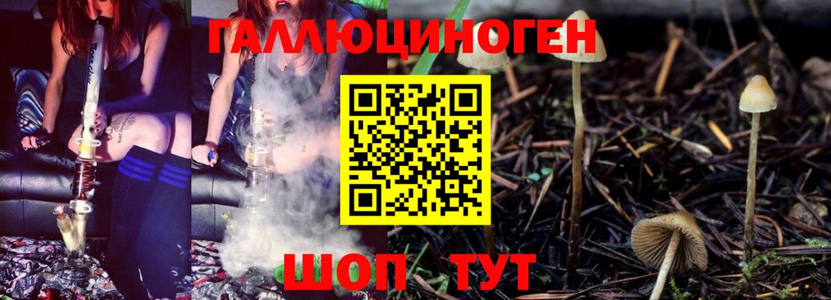 Псилоцибиновые грибы Psilocybine cubensis  Вход с VPN  Чебаркуль 